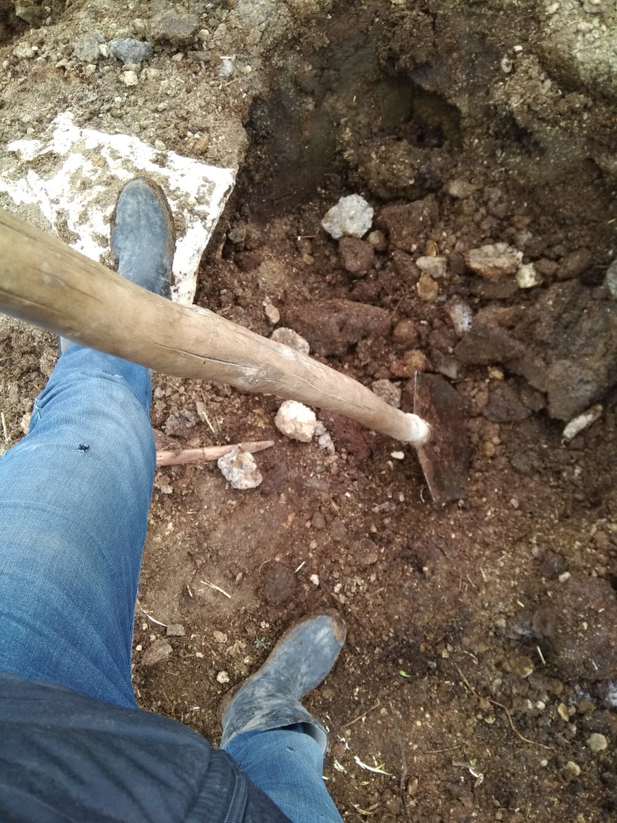 Bcek37500738's tweet photo. #Paramediğeatamasayısırezaleti
Allaha havele ediyorum sizi 84'4 aldim bir gün bulaşık bir gün odun kırmak bir gün başkasının bahçesini toplamak biz saglikciyiz (!) https://t.co/KYpG1NBfKW