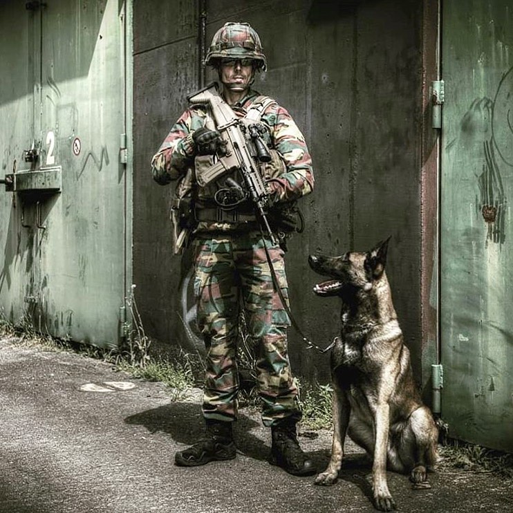 MWD_Mag's tweet image. Repost @keebeedogs

・・・

K9 Meko

#explosivedetectiondog #EDD #keebeedogs #militaryk9 #k9 #mwd #militaryworkingdog #dogs #wearekeebee #workingdog