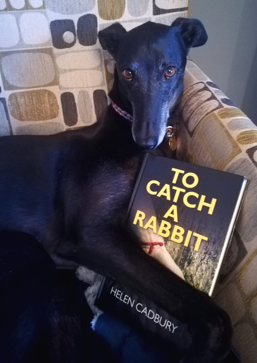 It’s day two in #lockdownlife and after some fresh air, <a href="/NotMobiledriver/">Paul Smith</a> suggested Caroline should catch up on her reading. This is her choice. What’s your #petspick? #librarylife