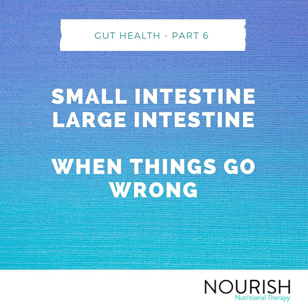 NourishNT's tweet image. A quick read over in instagram 👍 instagram.com/p/B-J8yLjHnwl/ #guthealth #smallintestines #largeintestines #NourishNutritionalTherapy