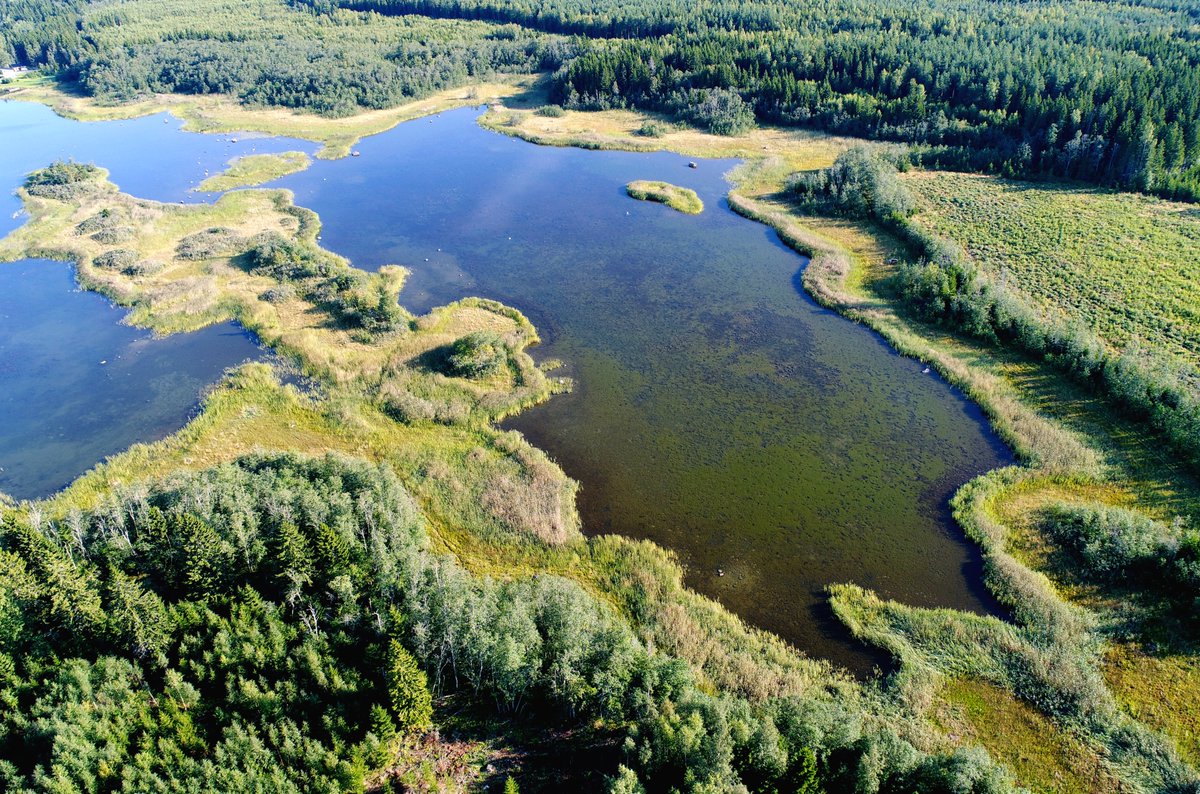 kvarkenflada tweet media