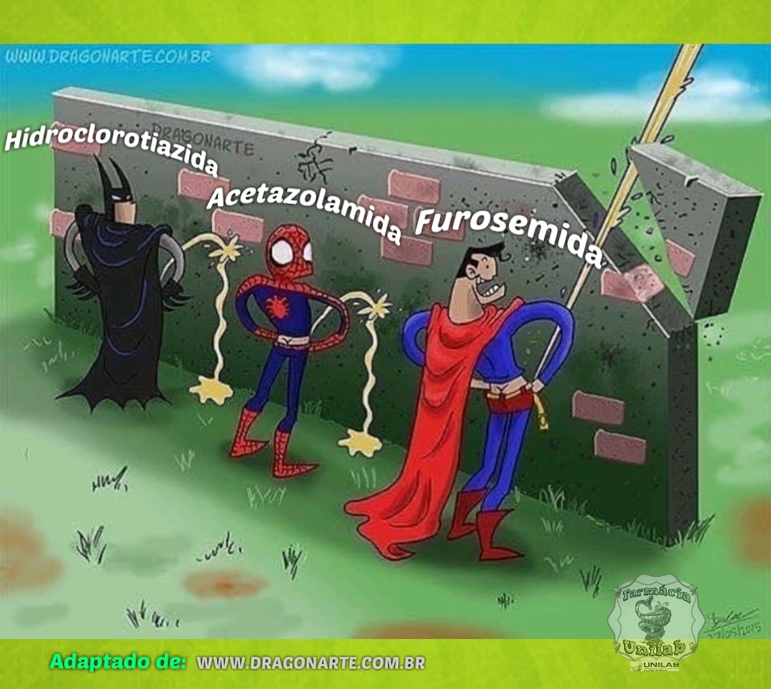 FUnilab's tweet image. Embora diversos agentes que aumentam o volume de urina (diuréticos) tenham sido descritos desde a antiguidade, apenas em 1937 foram descritos. 
#unilab #farmacia #farmaceutico #farmaciaclinica #biologia #fisiologia #hipertensão #farmaceutica
#farmácia #farmacologia
