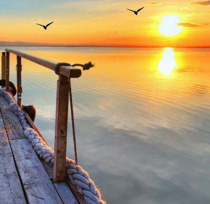 نــوال tweet media