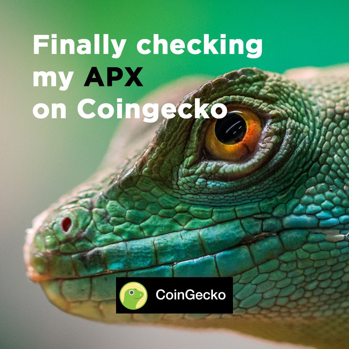 appics_official's tweet image. APPICS is now listed on COINGECKO 🦎 ❕

CoinGecko is a coin market ranking chart app that ranks digital currencies by developer activities, community, and liquidity.

coingecko.com/en/coins/appics

Join APPICS now and become an early tester ⬇️
softlaunch.appics.com