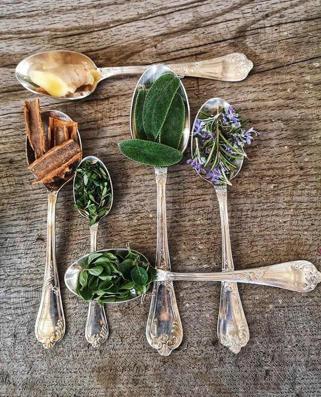 We asked @annemcintyre64, a wonderful Ayurvedic practitioner and #SeedToSkin Community Herbalist, for her invaluable advice on maintaining gut health and boosting the immune system. We were amazed to find out that most of the aromatic culinary herbs and … ift.tt/2WJDYqu