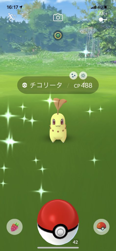 チコリータ色違い Twitter Search