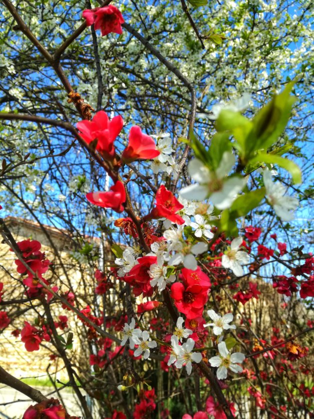 #iorestoacasa 
💪🇮🇹♥️