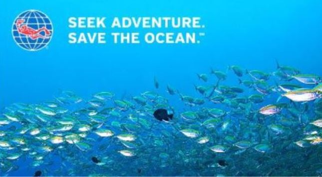 Sea Experience tweet media