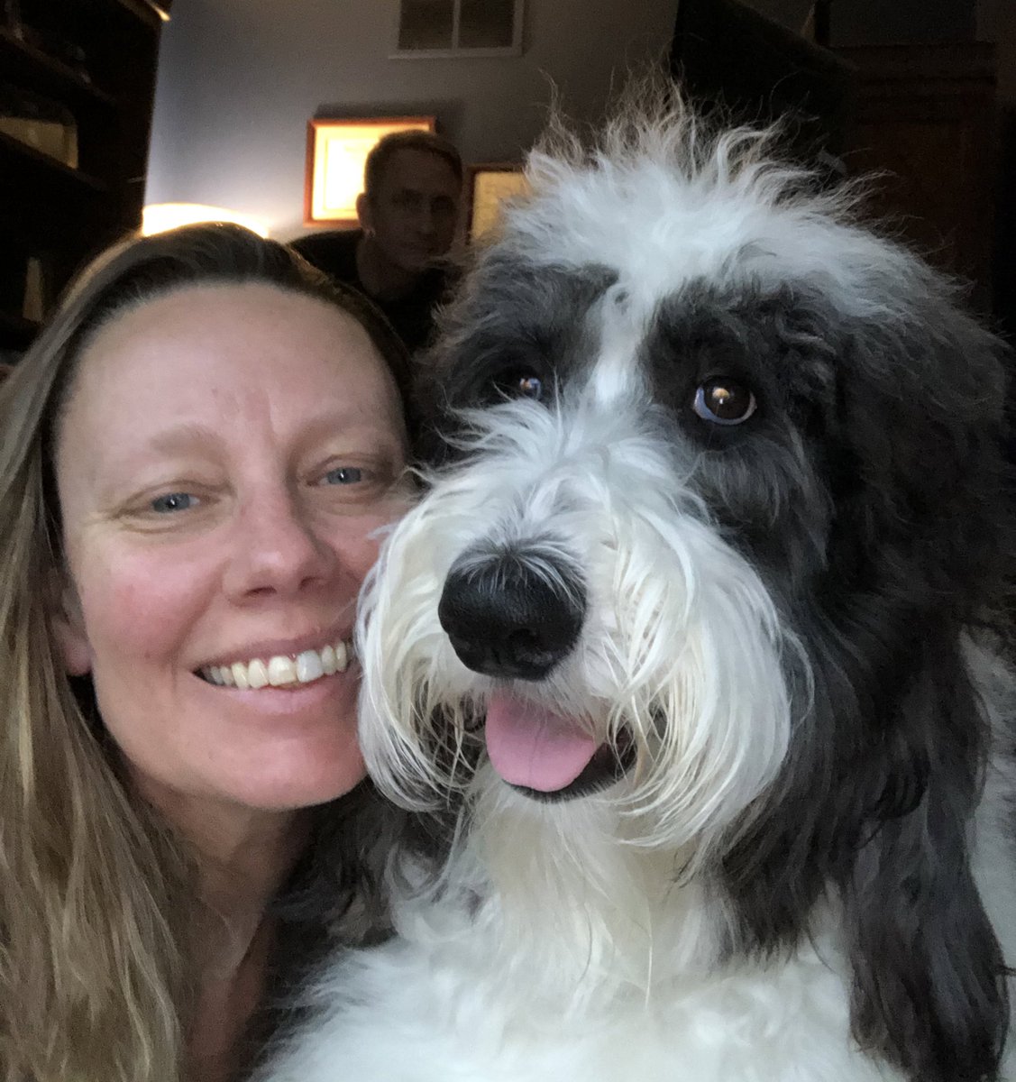 debwalker's tweet image. Week two challenge, love this fluff ball!! #THSstaysconnected