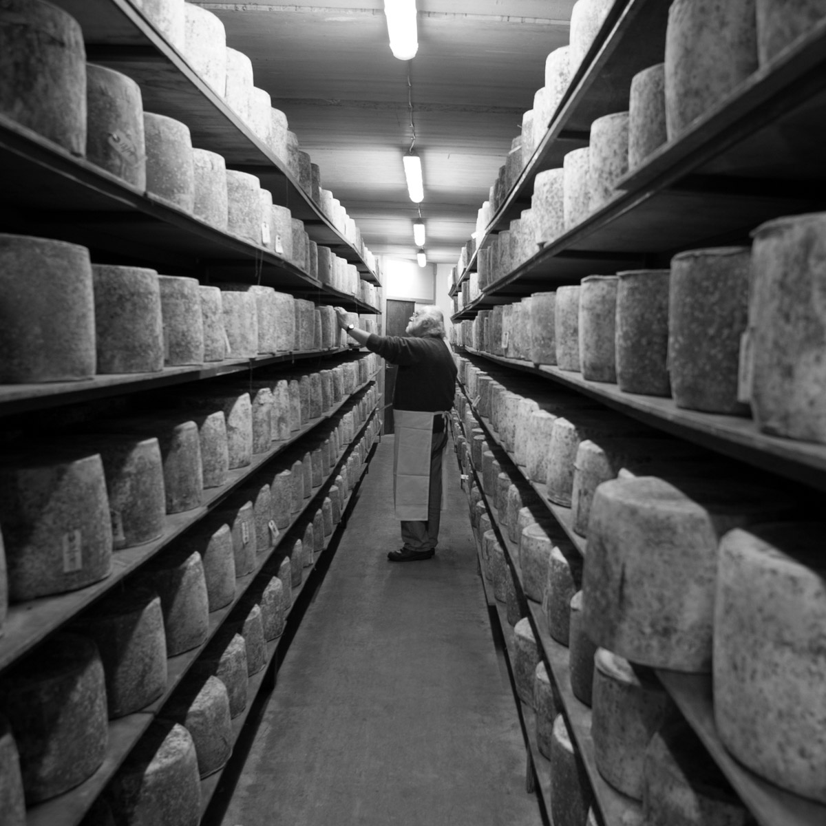 Jeff Reade, cheesemaker, Sgriob-ruadh Farm, Tobermory, Isle of Mull, Scotland (Jeff is sadly now deceased)  #WeAreHighlandsAndIslands  #TheHillsAreAlwaysHere