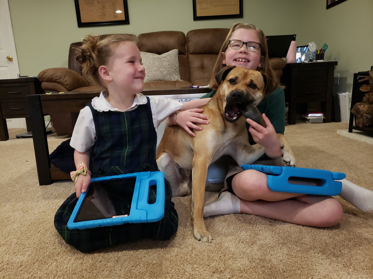 katevflint's tweet photo. @McDonoghSchool the Flint girls are ready for #virtuallearning with #mynewclassmate, Rickson. #mynewclassroom looks a little different but they continue McD traditions and proudly wear their uniform! https://t.co/ta5NB8RhtZ