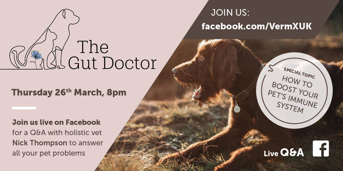 Thursday, 8pm Live Q&amp;A. Simple, natural steps you can take to strengthen your pet’s immune system. Join <a href="/holisticvetUK/">Dr. Nick Thompson</a>  Nick Thompson MRCVS to chat herbs, gut health and immunity.