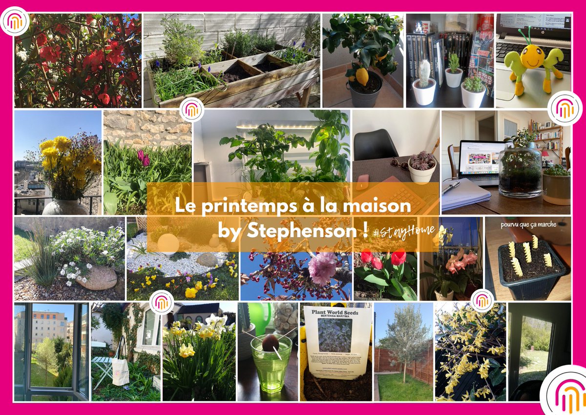 #Confinement #Day9 Bulletin météo sur la Planète Stephenson 🌏OUI... c’est bel et bien le 𝓹𝓻𝓲𝓷𝓽𝓮𝓶𝓹𝓼🌷
Alors qu’un vent de confinement souffle, le #soleil brille☀️ et la #nature se réveille doucement derrière la fenêtre🌿
🌼#printemps #espoir #solidarité #PrenezSoinDeVous