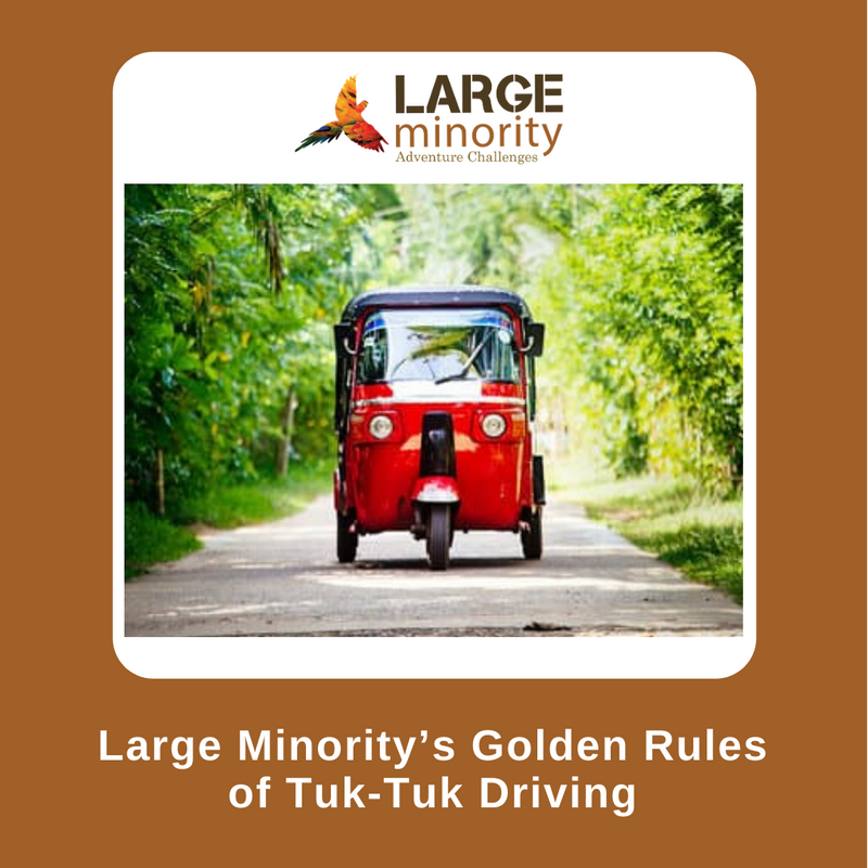 LARGEminority's tweet photo. Here are our GOLDEN RULES to nail driving in Sri Lanka. Follow these and you'll crush it. 👍

Learn more 👇🏼
https://t.co/qA9ELFGCY1

#SriLankatravel #LargeMinority #travelchallenge https://t.co/rKuaoSiqpw