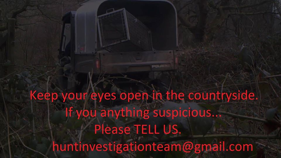 FoxHITeam's tweet photo. BE VIGILANT.
If you see it report it.
Wildlife criminals are not on lock down.
Get active for wildlife.
huntinvestigationteam@gmail.com Please share. HIT https://t.co/qHv00kGXOz