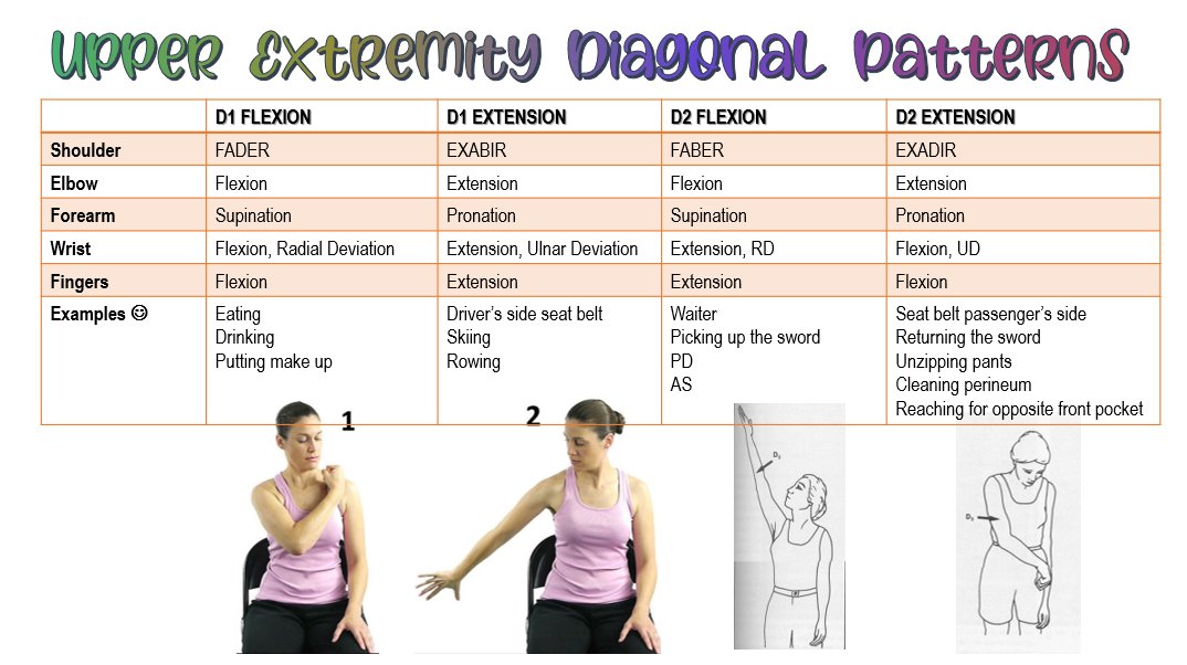 Pnf D2 Flexion Extension Pnf D2 Flexion Extension To 47 Off Pnf D2 Flexion Extension Pnf D2 Flexion Extension To 47 Off