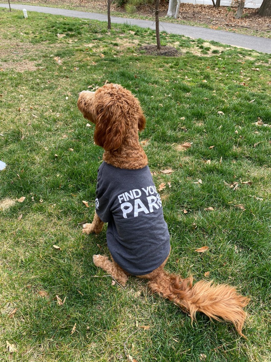 Meet Camden, who has a very busy schedule of modeling our  #FindYourPark gear, so please don't bother him. He knows what he's doing. Just look at that smize.10/10 Work it, Cam. #EncuentraTuParque