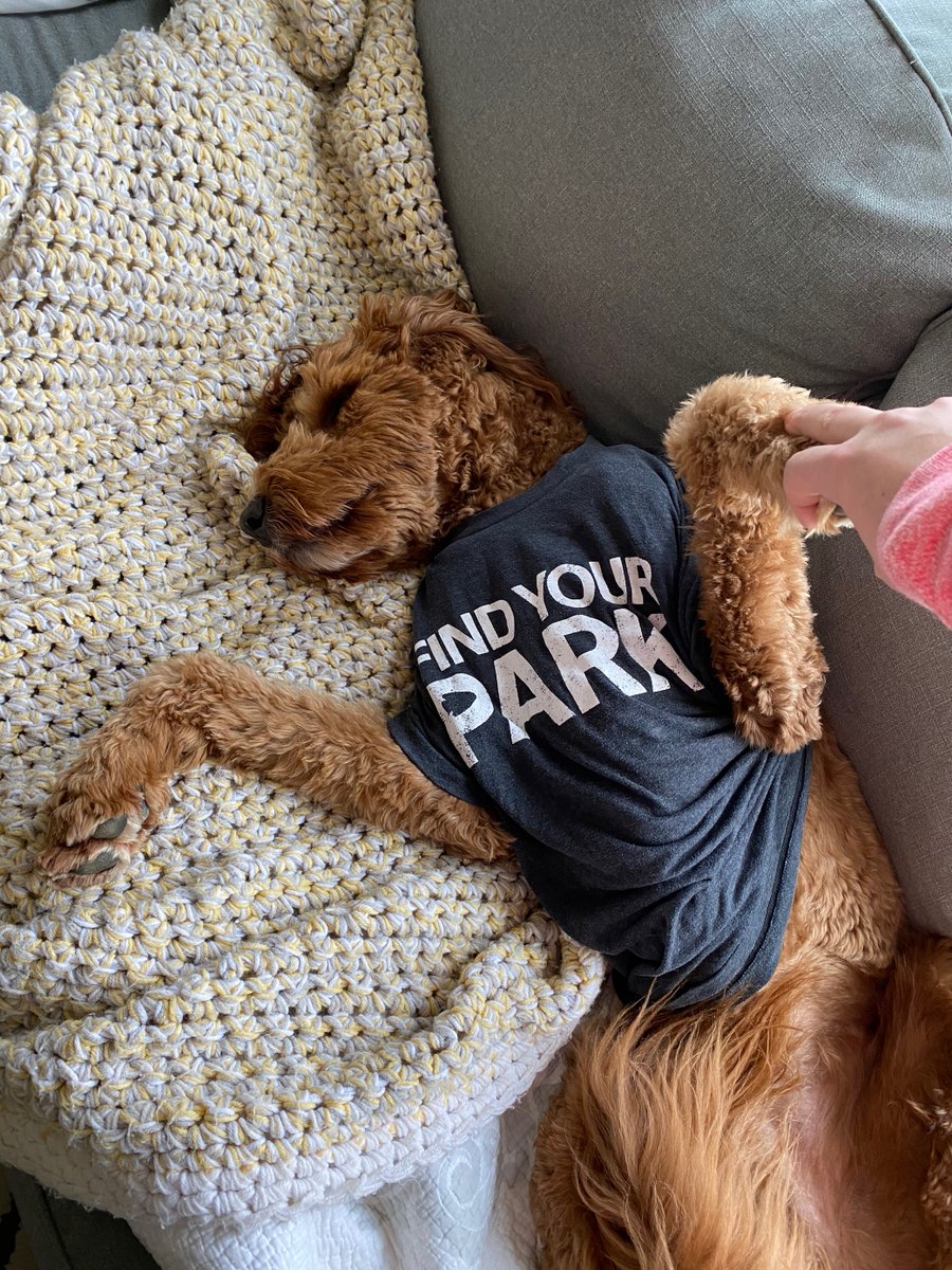 Meet Camden, who has a very busy schedule of modeling our  #FindYourPark gear, so please don't bother him. He knows what he's doing. Just look at that smize.10/10 Work it, Cam. #EncuentraTuParque