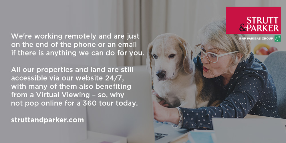 StruttsChelsea's tweet image. 