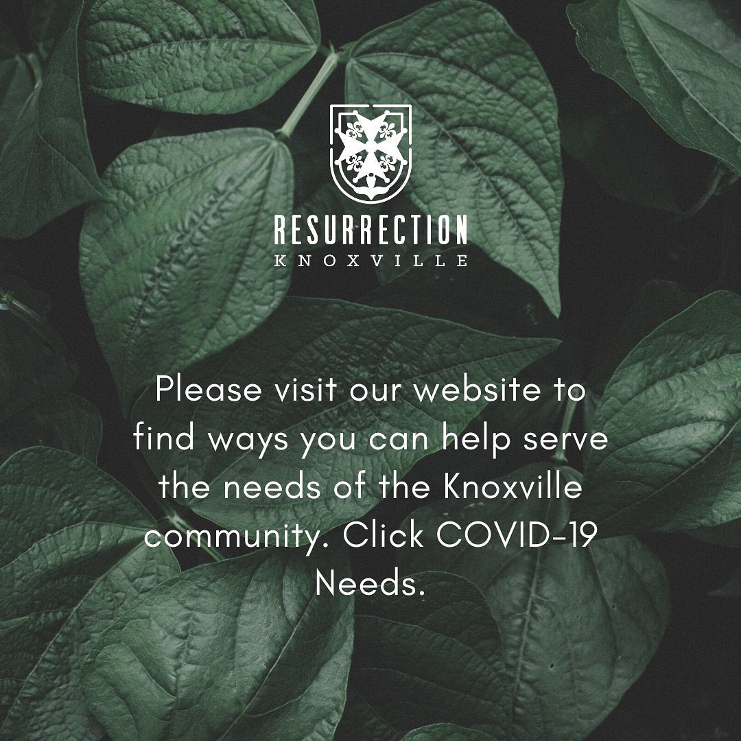 respresknox's tweet photo. Our website link is in the bio. https://t.co/3rSO1erCBD