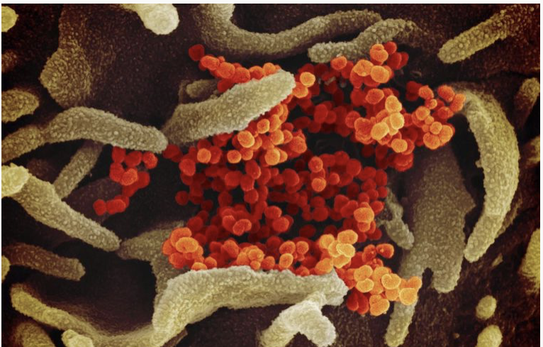 Abid Lallani tweet media