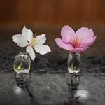 すごい一輪挿し!花が小さくても、茎が短くてもいけられる!逆さにもできます!
