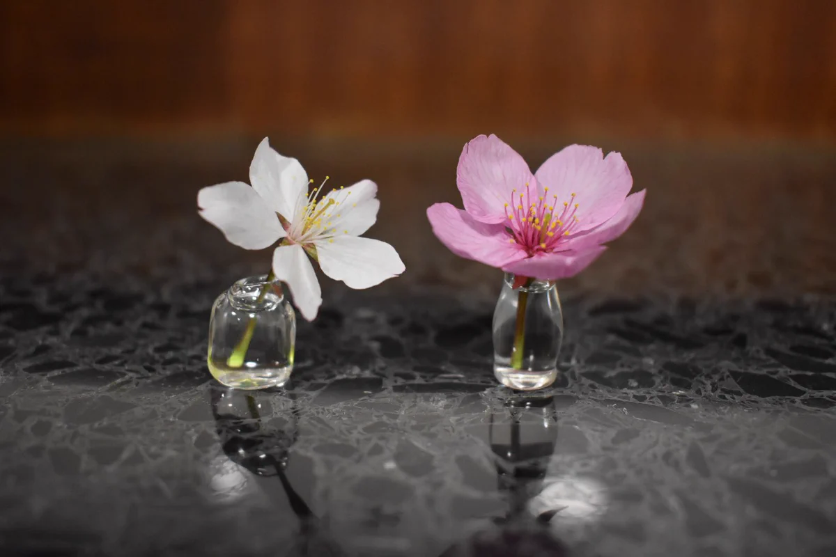 すごい一輪挿し！！花が小さくても、茎が短くてもいけられる！逆さにもできます！