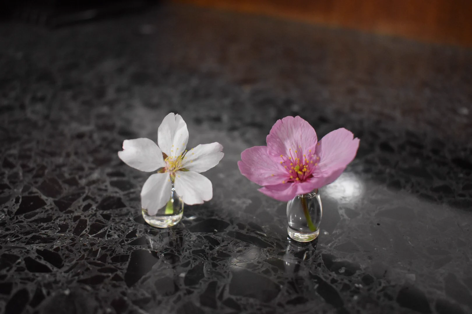すごい一輪挿し！！花が小さくても、茎が短くてもいけられる！逆さにもできます！