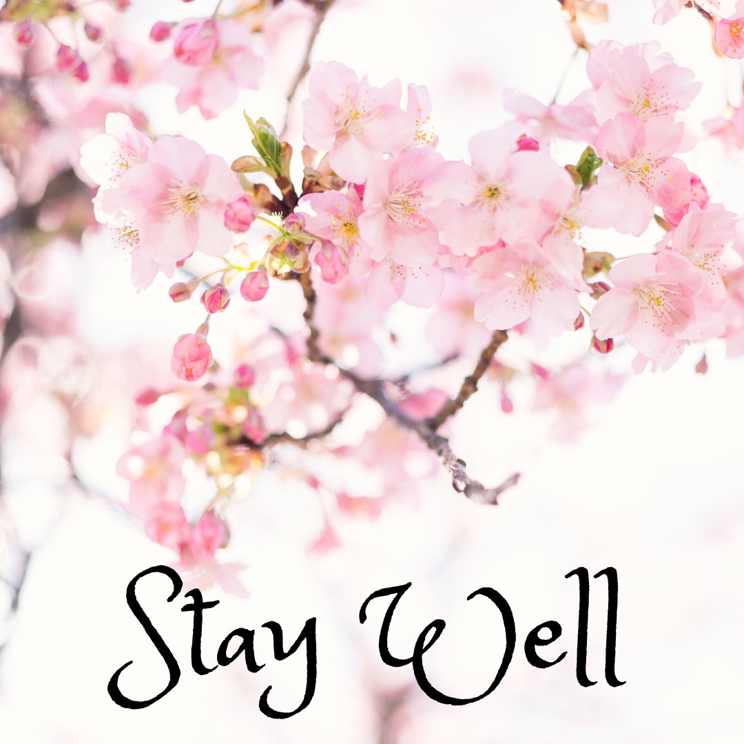 UnitySCNV's tweet image. Reminder: Due to ongoing concerns for the safety of our congregants and in adherence of Napa County COVID-19 guidelines, we will not hold service this Sunday, March 29.

Stay tuned for further information, and stay well!

#UnitySCNV #Unityworldwide #Napachurch