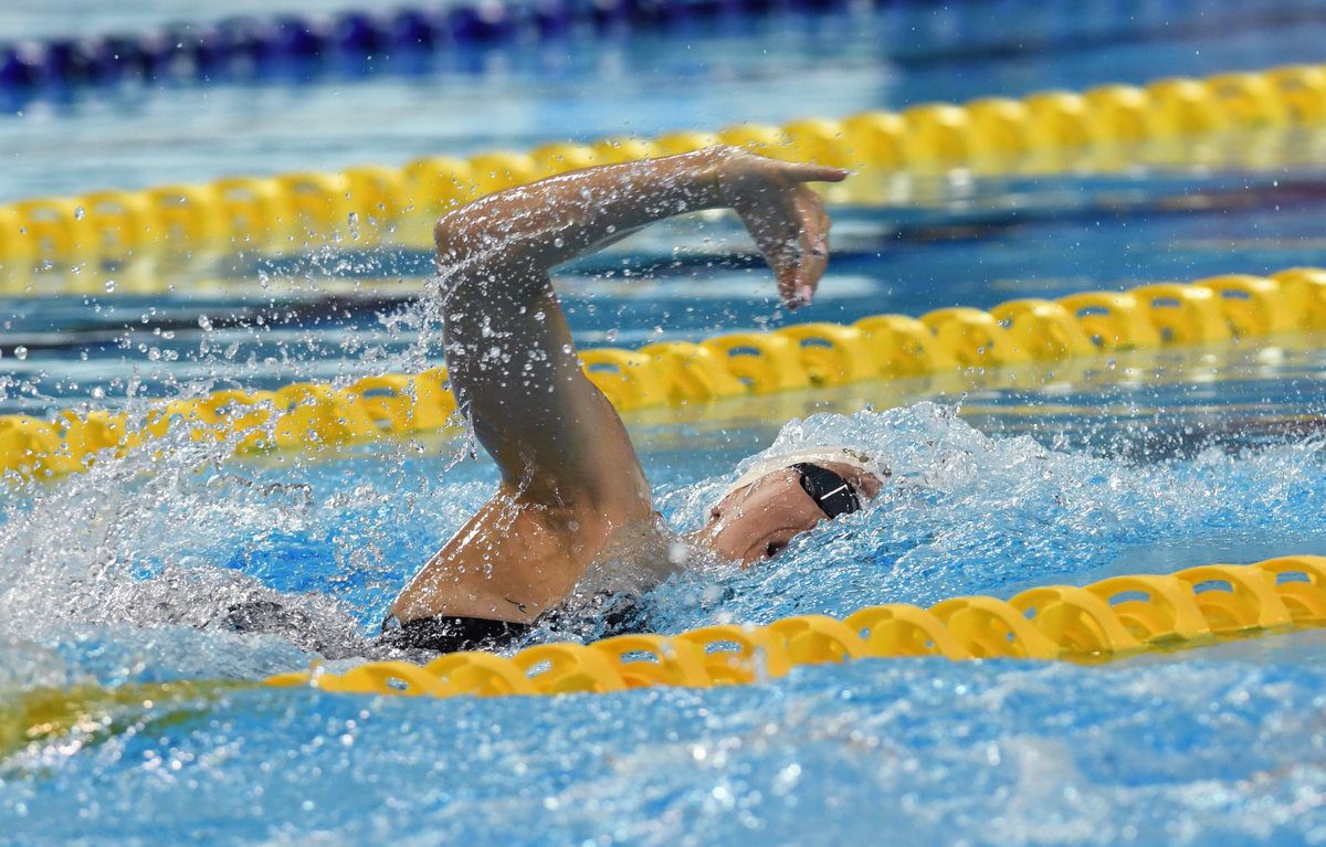 Swimming Canada / Natation Canada tweet media
