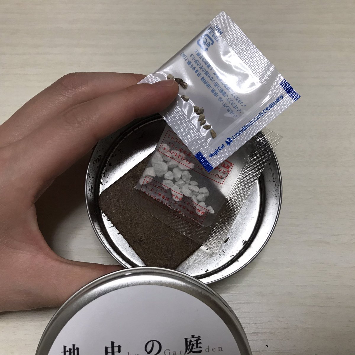 旭 Sur Twitter 地中美術館めちゃお花咲いてて綺麗だったのと お家にお花あったらいいなーって思ってたのとで ミニバラの栽培キットを買ってみた 土を揉みほぐすらしいから 明日しょーっと