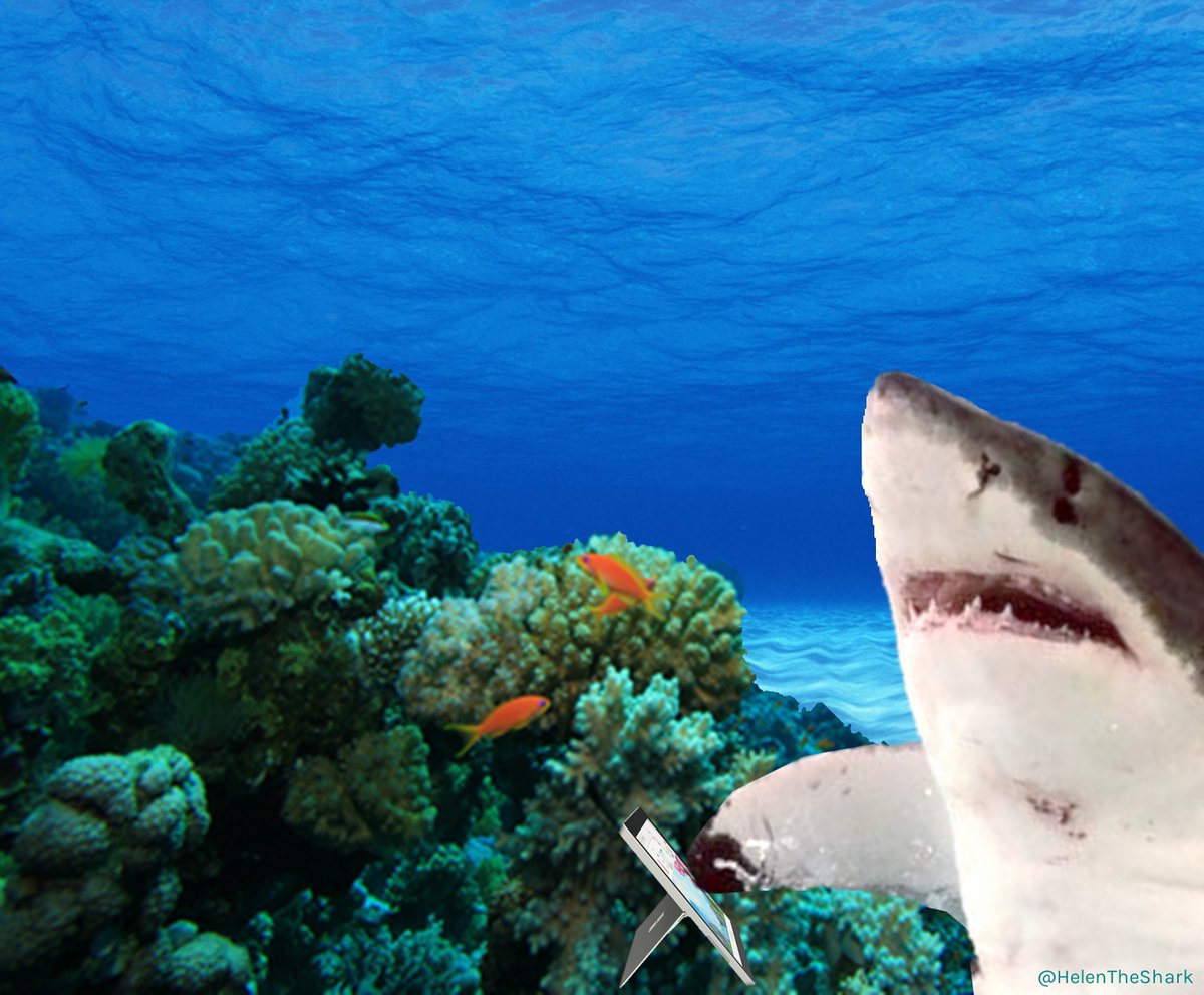 Here I am, underwater, Tweeting to you with my fins. Who knows more about #socialdistancing than a shark? Pretty much no one. #HereForYou #WeAreTogether #WednesdayWisdom 

@Surface