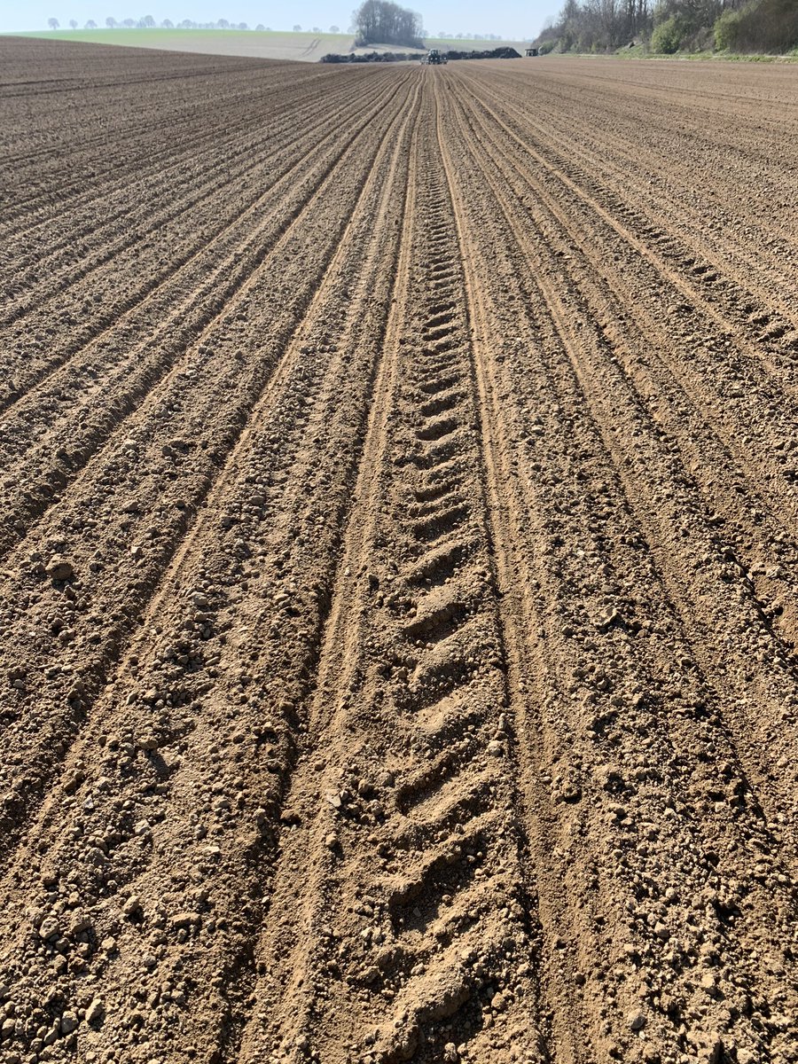 Sous le soleil des hauts de france les semis s’enchaînent ici les betteraves qui produisent le sucre mais aussi la solution alcooliques pour protéger du #COVID19  #agriculture #SolidariteCOVID19 #turbocereal