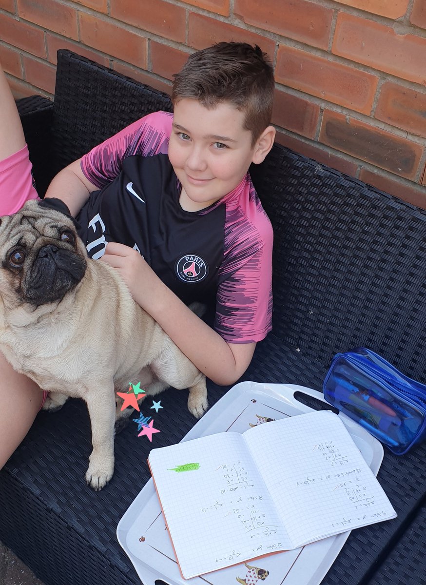 mchllcrry's tweet photo. @BirkdaleHS Hegarty maths in the garden for Ashton ✅ 100% 🙌
 Behaviour point for Stan dog for distracting class!! https://t.co/CfFDkwaYSh