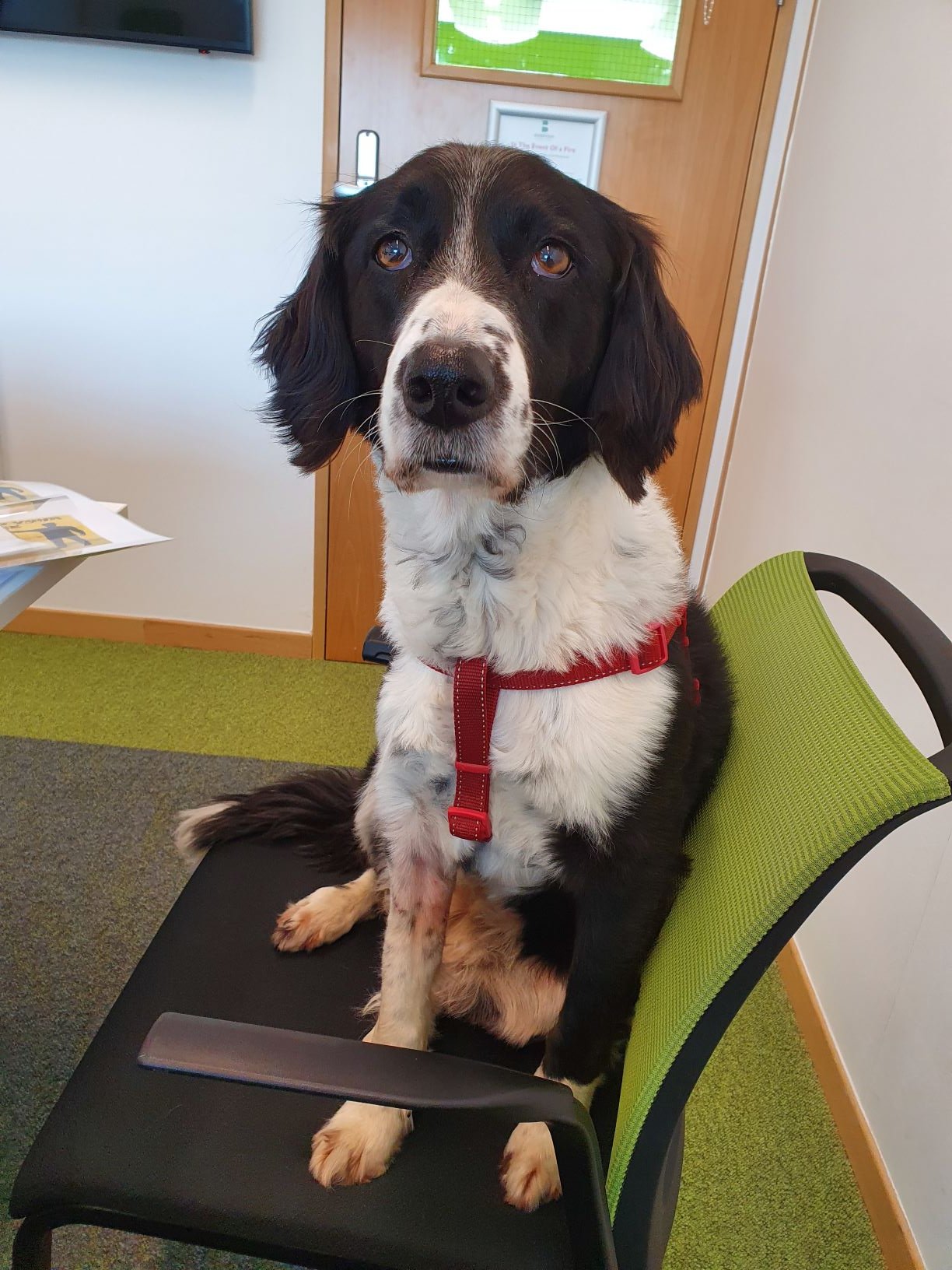 Basepoint Chepstow on Twitter: 