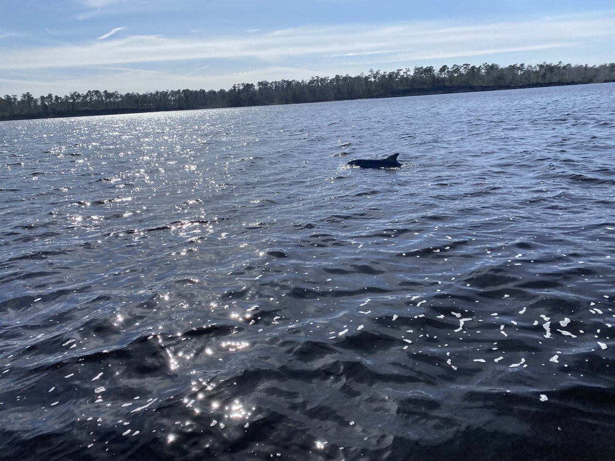 coastalgrp_whoi (@coastalgrp_whoi) on Twitter photo Photos from our recent coring trip to the #OuterBanks in NC! Too bad we brought the New England weather with "record snowfall" while we were there!
<a href="/UncwSLL/">UNCW Sea Level Lab</a> <a href="/Northeastern/">Northeastern U.</a> #Coop
Have questions about who we are, what we do, or what coring is like? Feel free to tweet us or DM us! Photos from our recent coring trip to the #OuterBanks in NC! Too bad we brought the New England weather with "record snowfall" while we were there!
<a href="/UncwSLL/">UNCW Sea Level Lab</a> <a href="/Northeastern/">Northeastern U.</a> #Coop
Have questions about who we are, what we do, or what coring is like? Feel free to tweet us or DM us!