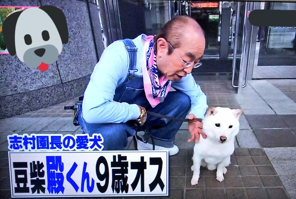 志村 けん 愛犬