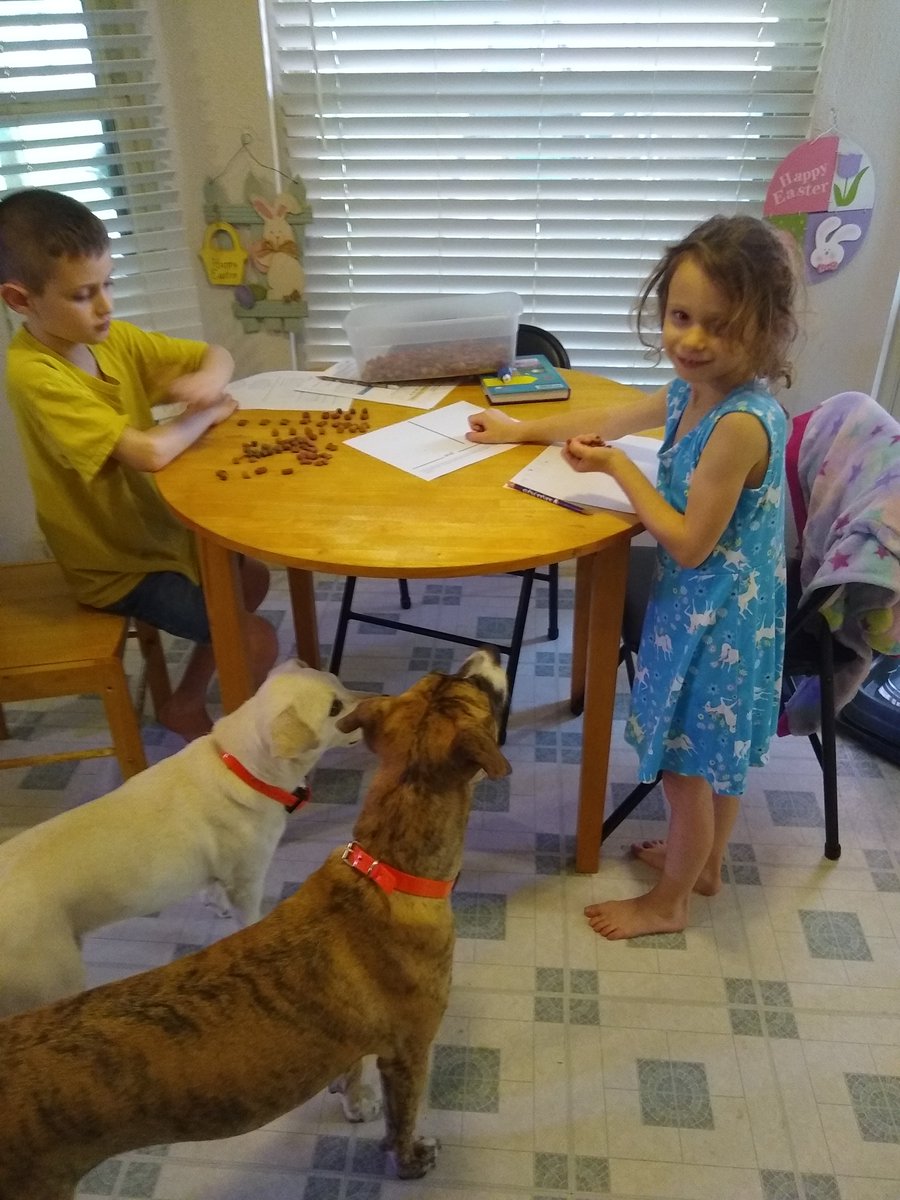 Using dog food to create pictographs and decomposing numbers. Dogs are very interested in this lesson! <a href="/PricelessOnes/">Mrs. Hightower's Class</a> @mrsbencomo <a href="/nluciovasquez/">Norma Lucio Vásquez</a>