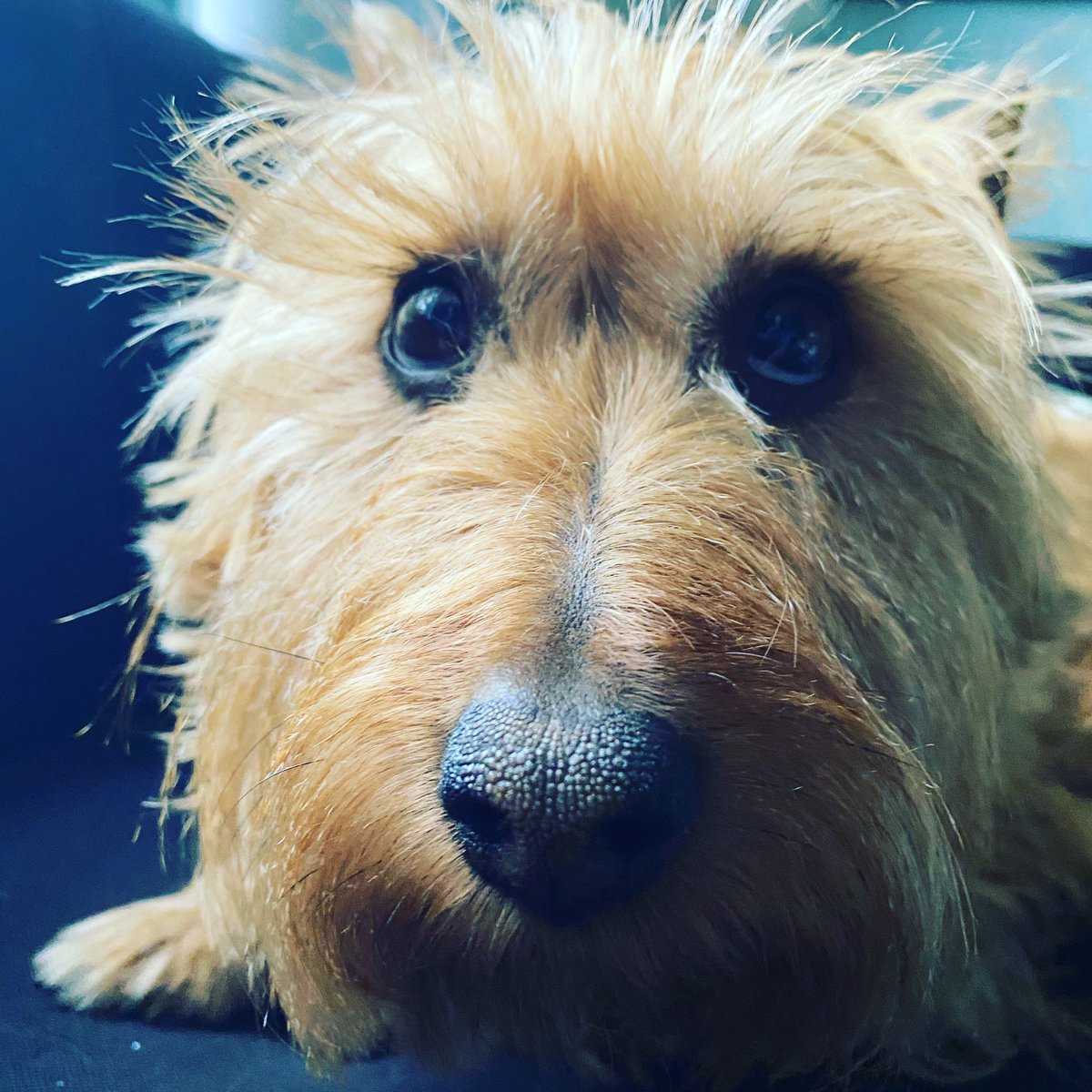 WinstonTapper's tweet photo. Stay at home! https://t.co/YGSFM3DMnI