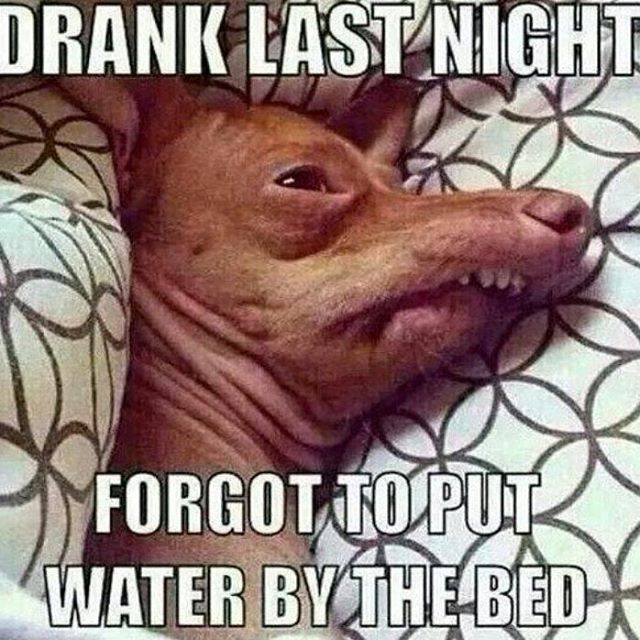 dirtyharryspub's tweet photo. We will be back for your dehydration needs, soon! #DirtyHarrys #StayHealthy #BikerBar https://t.co/dVpQhMAQKD