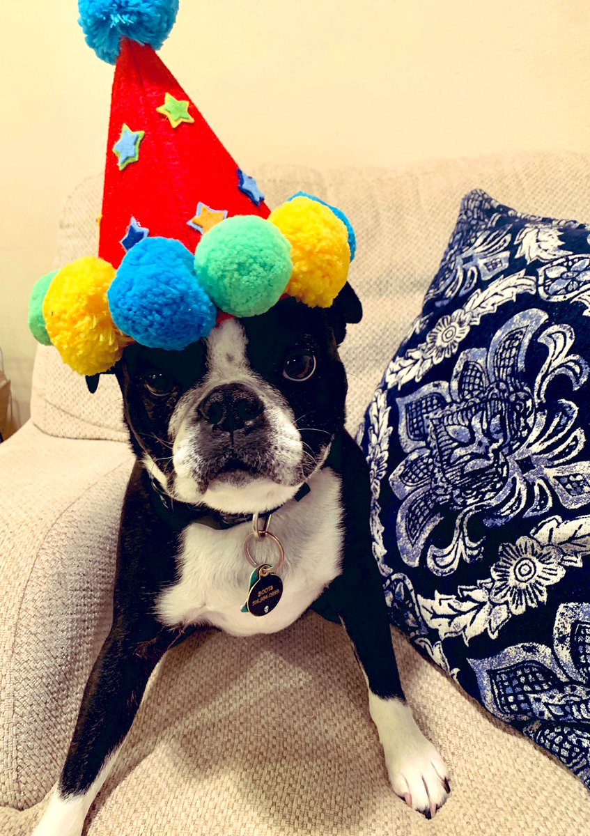 CymblerJennifer's tweet photo. @WheelerAvenue #goodmorningwheeler #crazyhatday  #bostonboots #happybirthday https://t.co/H2mWP4M1BY