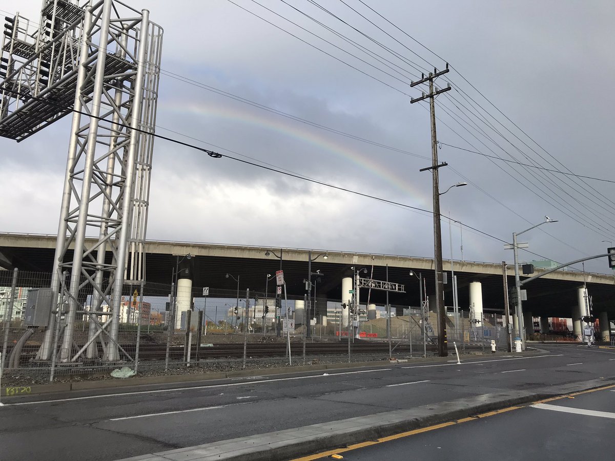 sparkelle's tweet photo. @tabby__katz Rainbow-jinx. :) https://t.co/BXcxcZjPux