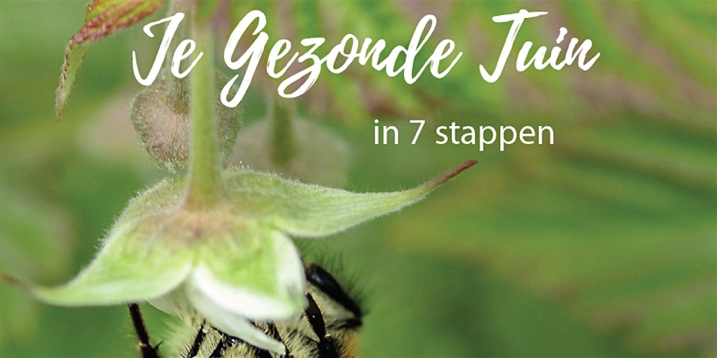 LenteNieuws #2020 Je Gezonde Tuin - mailchi.mp/0f655c17f502/l… Terwijl wij met zijn allen in een vreemd vacuüm zijn beland, wordt de natuur wakker en rekt zich uit. De lente is begonnen!  Alles trilt, zoemt en gonst. Zin in mijn webinar ‘Je Gezonde Tuin’  28 maart!