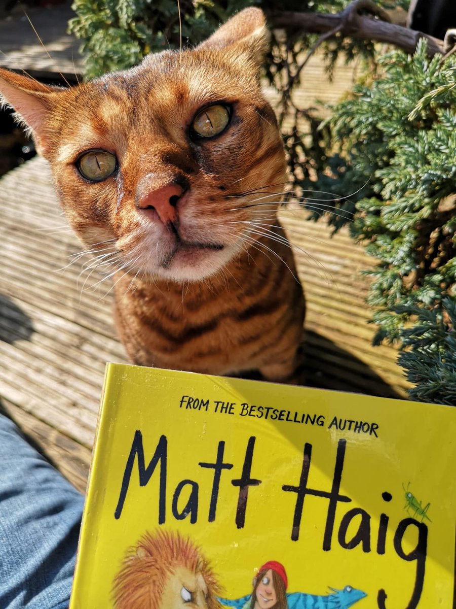 gateslibraries's tweet photo. Here we have Echo, who gave @TaraR771 a VERY hard stare when she picked up #Evieandtheanimals. “Put my book down human! Get your own!” #petspick https://t.co/l1DI0WTMwO
