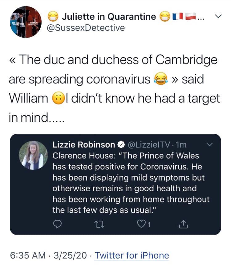 (41/41) blaming Prince William for leaking Prince Charles has the virus