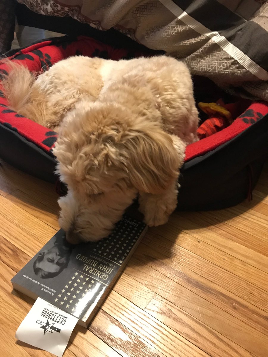 ethanmeints's tweet image. My message to the kids this morning - follow Annie's lead and find a good book, a comfy spot and get to reading! (Annie does endorse naps but only after 1 hour of reading) Can't wait to get back in the classroom! #WeAreGrinnell @TigersGms