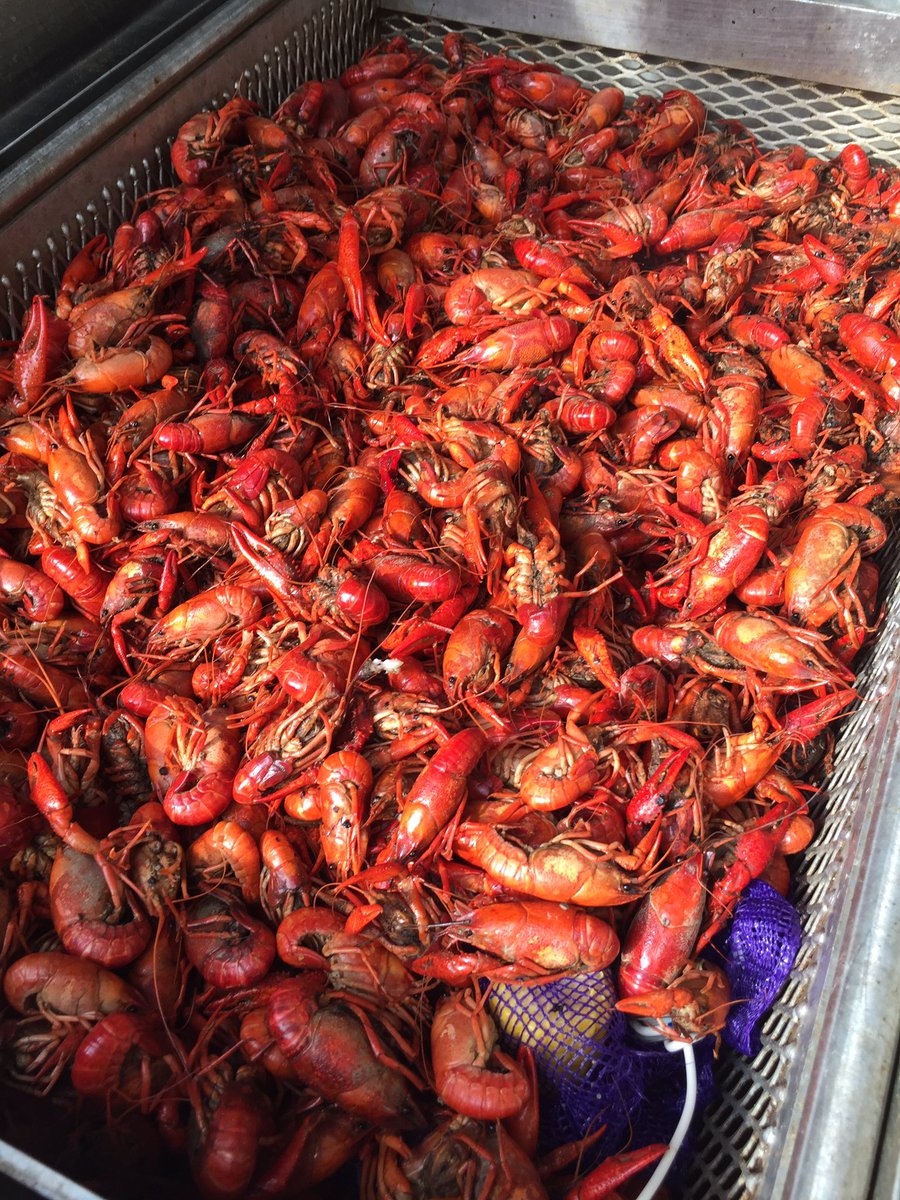 Crawfish Report tweet media