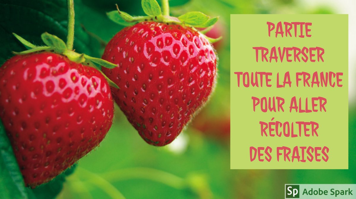 𝕁𝕠𝕙𝕒𝕟𝕟𝕒 ℂ𝕠𝕣𝕟𝕠𝕦 (@johannacornou) on Twitter photo 