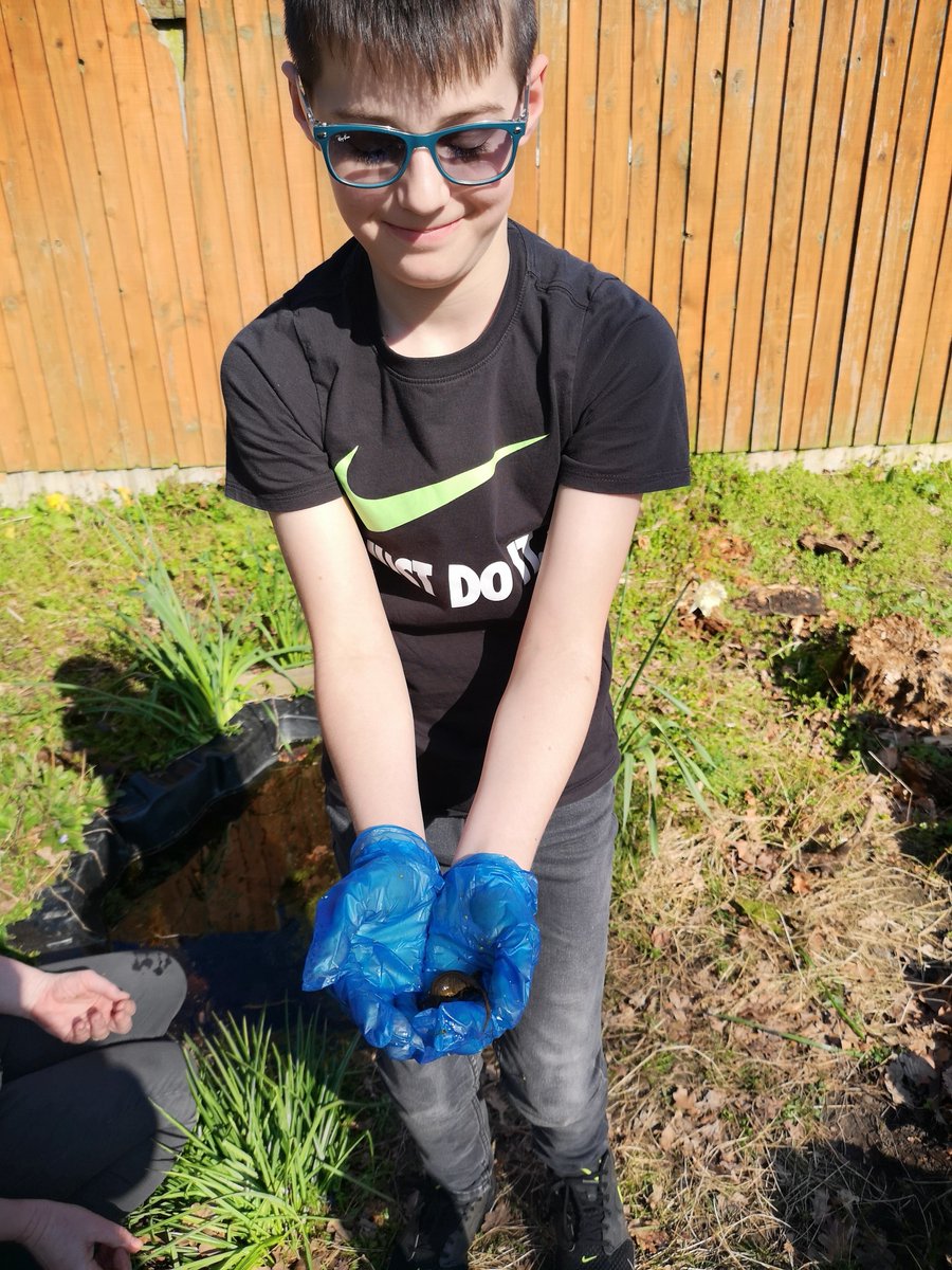 We've had a lovely day in the garden - did you know you can tell if a newt is a boy or a girl by the colour of it's belly? #GunterValues #welovenature #outdoorlearning