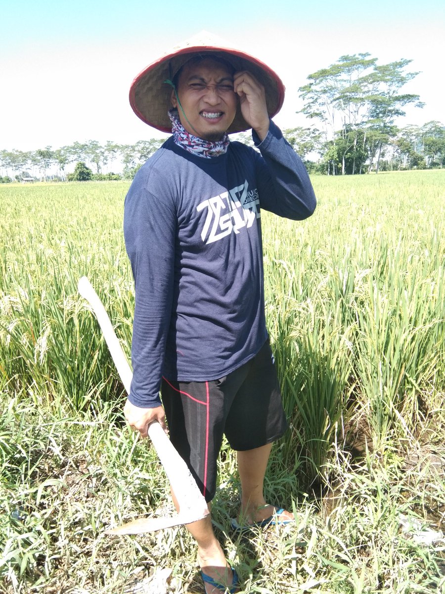 Okeehhhh job MC pada cancel/pending semuahh... Waktunya aktivitas lain ketika libur nyepi 😁